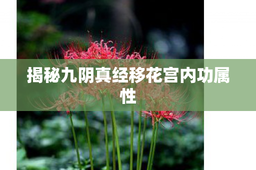 揭秘九阴真经移花宫内功属性图片