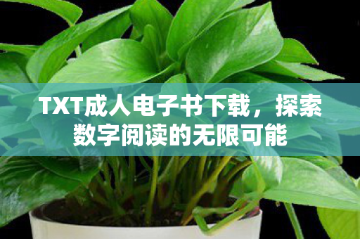 探索数字阅读的无限可能图片