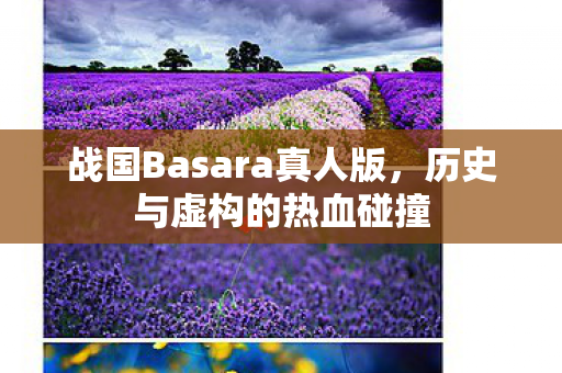 战国Basara真人版图片