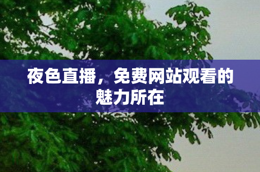 免费网站观看的魅力所在图片