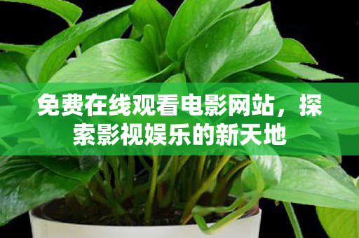 免费在线观看电影网站图片