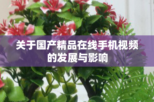 关于国产精品在线手机视频的发展与影响图片