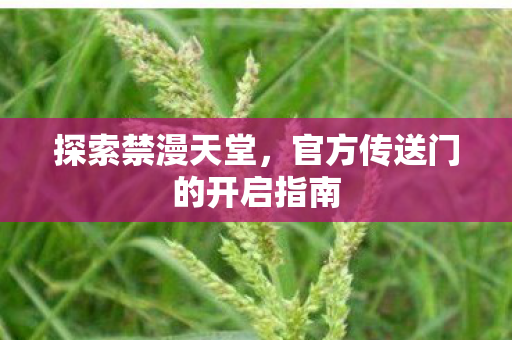 官方传送门的开启指南图片