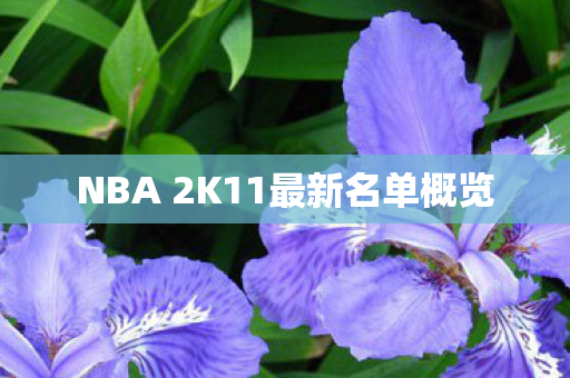 NBA 2K11最新名单概览图片