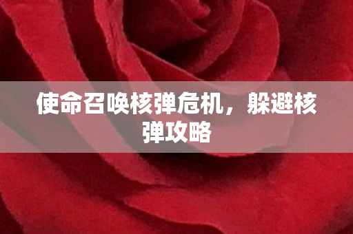 使命召唤核弹危机图片