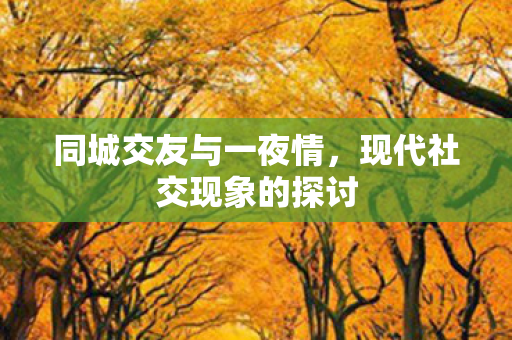 现代社交现象的探讨图片