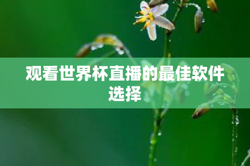 观看世界杯直播的最佳软件选择图片
