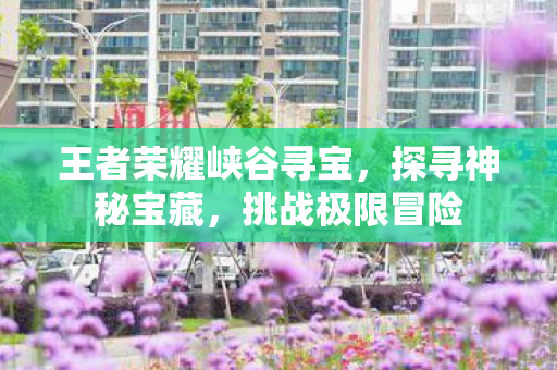 王者荣耀峡谷寻宝图片
