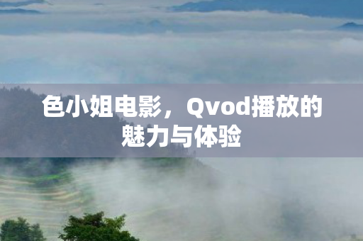 Qvod播放的魅力与体验图片