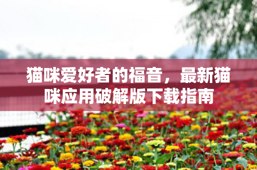 最新猫咪应用破解版下载指南图片