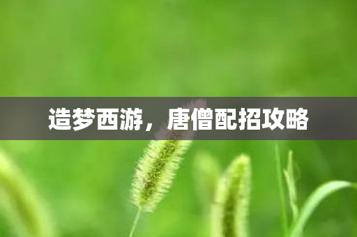 唐僧配招攻略图片