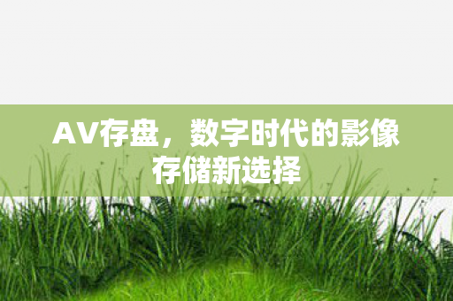 数字时代的影像存储新选择图片