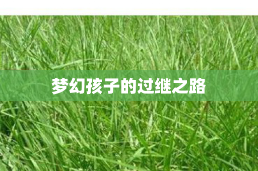 梦幻孩子的过继之路图片