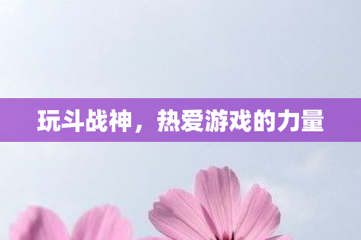 热爱游戏的力量图片