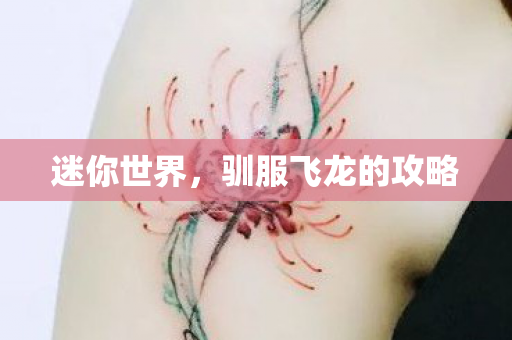 驯服飞龙的攻略图片