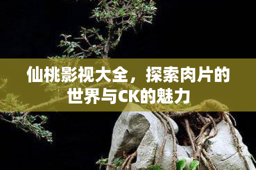 探索肉片的世界与CK的魅力图片