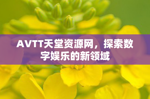 探索数字娱乐的新领域图片