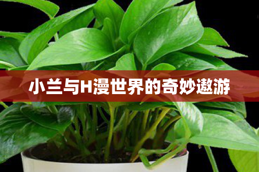 小兰与H漫世界的奇妙遨游图片
