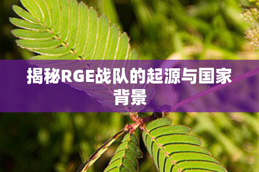 揭秘RGE战队的起源与国家背景图片