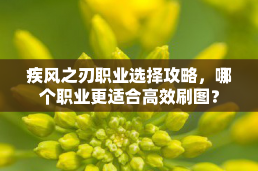 哪个职业更适合高效刷图图片