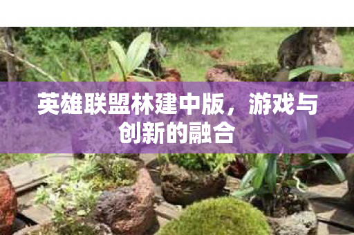 英雄联盟林建中版图片