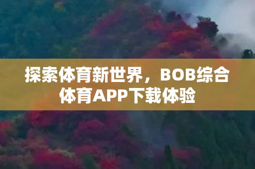 BOB综合体育APP下载体验图片