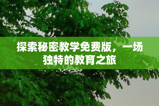 探索秘密教学免费版图片