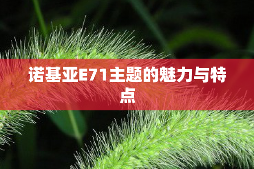 诺基亚E71主题的魅力与特点图片