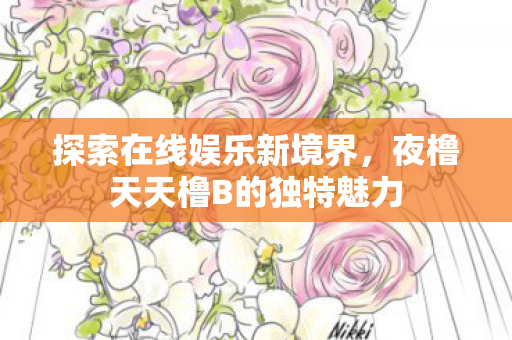 夜橹天天橹B的独特魅力图片