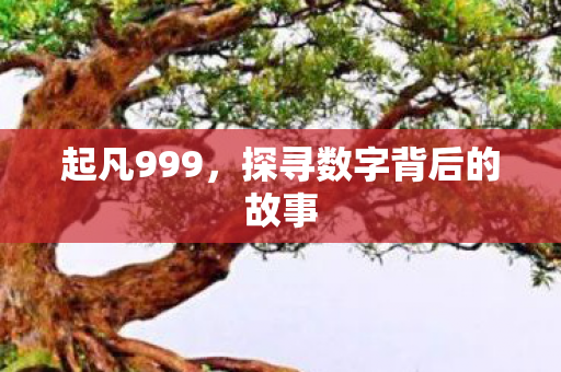 探寻数字背后的故事图片