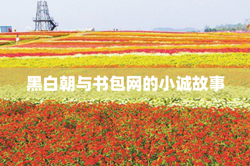 黑白朝与书包网的小诚故事图片
