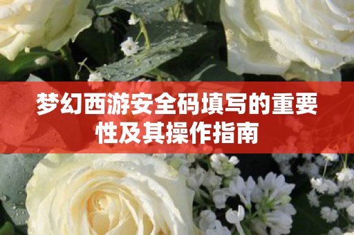 梦幻西游安全码填写的重要性及其操作指南图片