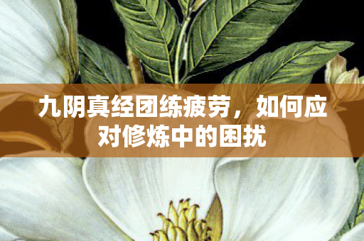 如何应对修炼中的困扰图片