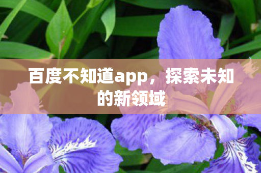 百度不知道app图片