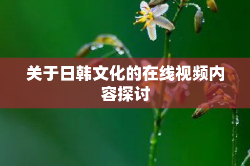 关于日韩文化的在线视频内容探讨图片