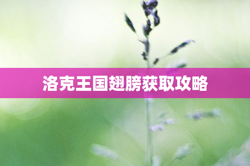 洛克王国翅膀获取攻略图片