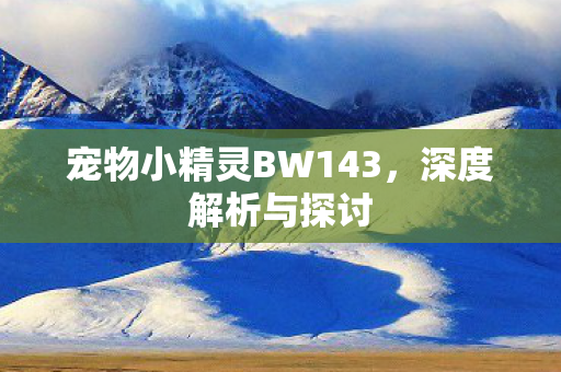 宠物小精灵BW143图片
