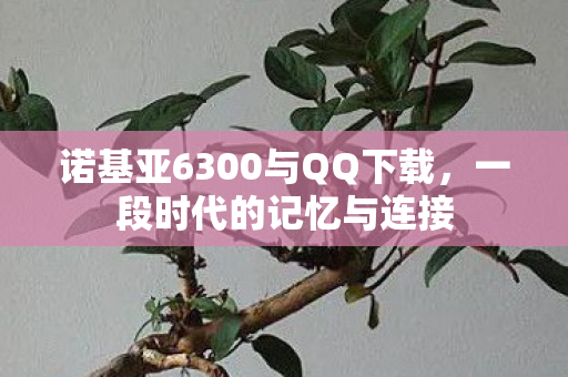诺基亚6300与QQ下载图片
