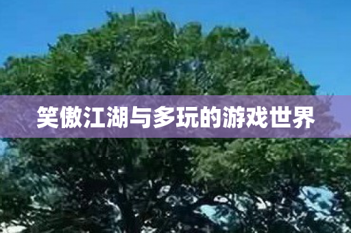 笑傲江湖与多玩的游戏世界图片