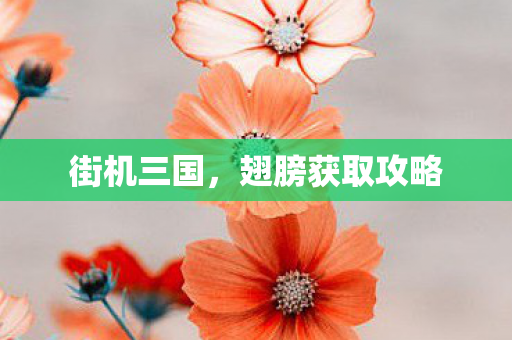 翅膀获取攻略图片