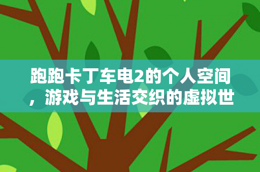 跑跑卡丁车电2的个人空间图片