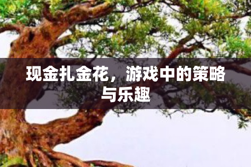 游戏中的策略与乐趣图片