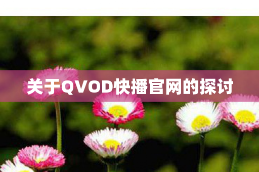 关于QVOD快播官网的探讨图片