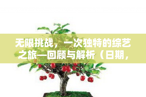 XXXX年XX月XX日图片