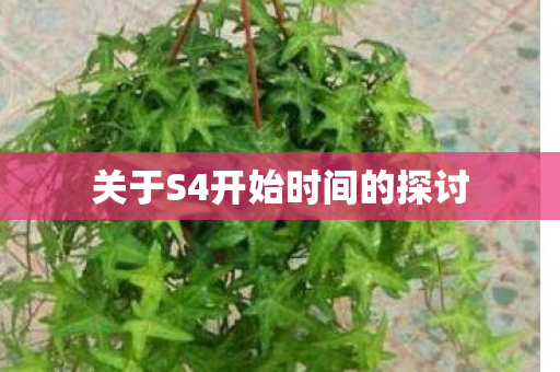 关于S4开始时间的探讨图片