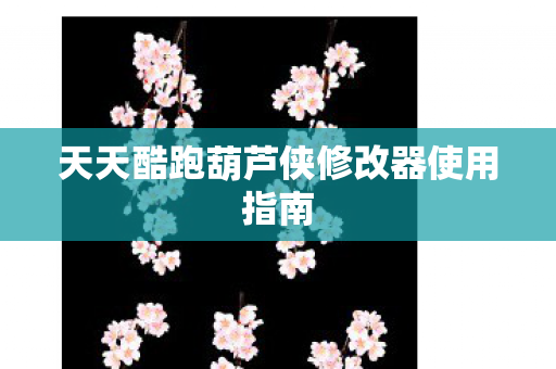 天天酷跑葫芦侠修改器使用指南图片