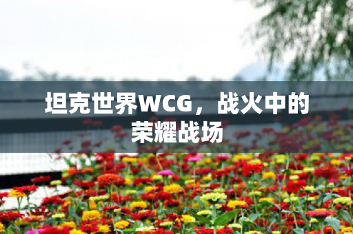 战火中的荣耀战场图片