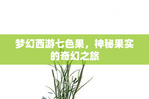 神秘果实的奇幻之旅图片