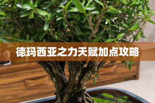 德玛西亚之力天赋加点攻略图片