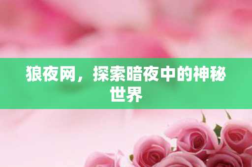 探索暗夜中的神秘世界图片